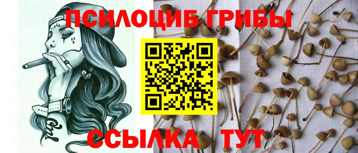 Псилоцибиновые грибы Magic Shrooms  Вход с VPN  Курчатов 