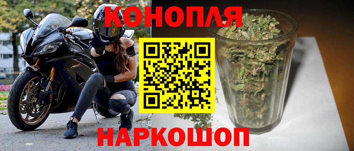 Канабис семена Курчатов